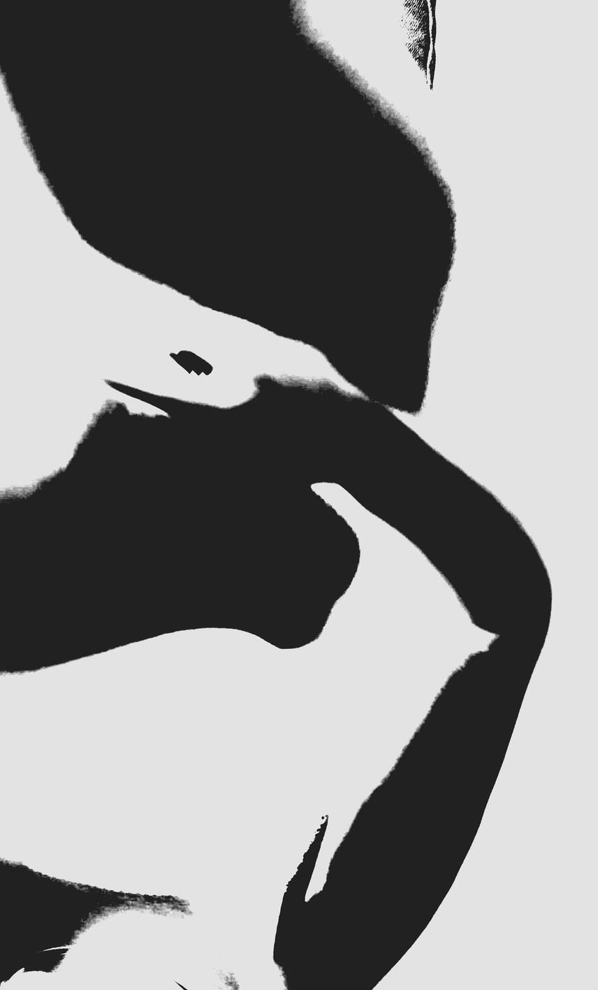 LEX IX Prism B&amp;W